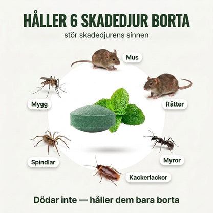 HemVakt™  | Skydda ditt hem mot djur och insekter